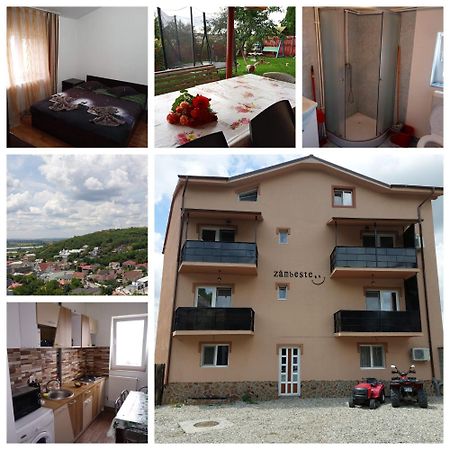 Varipatti House Slatina  Esterno foto